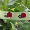Order  Animal Cuties - Ladybird/Lime Juice